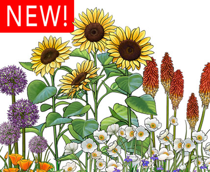 Pollinator Garden Design - Wholesale Accessories