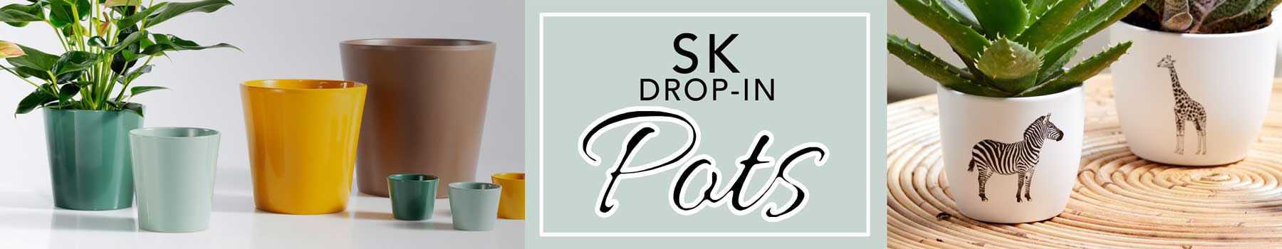 SK Pots - Easy To Plant - Pots for zz plants, Snake Plant Pots, Monstera, orchid plants