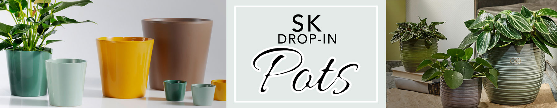 SK Pots -Snake Plant Pots, Monstera delicosa, orchid pots