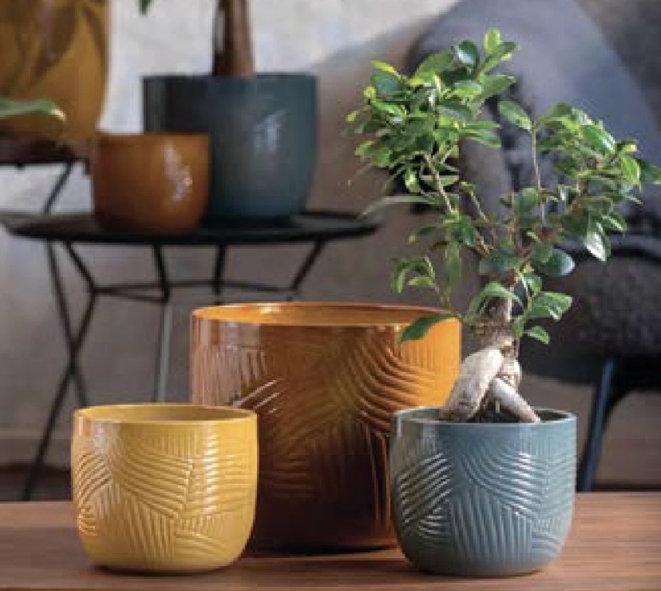 Wholesale garden supplies for independent garden retailers