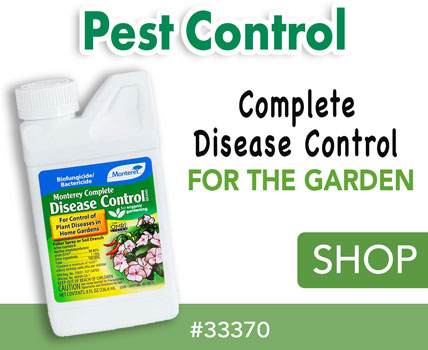 WHOLESALE PEST CONTROL & WEED CONTROL IN JUNE