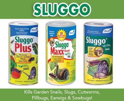 Wholesale Sluggo Slug and Snail control