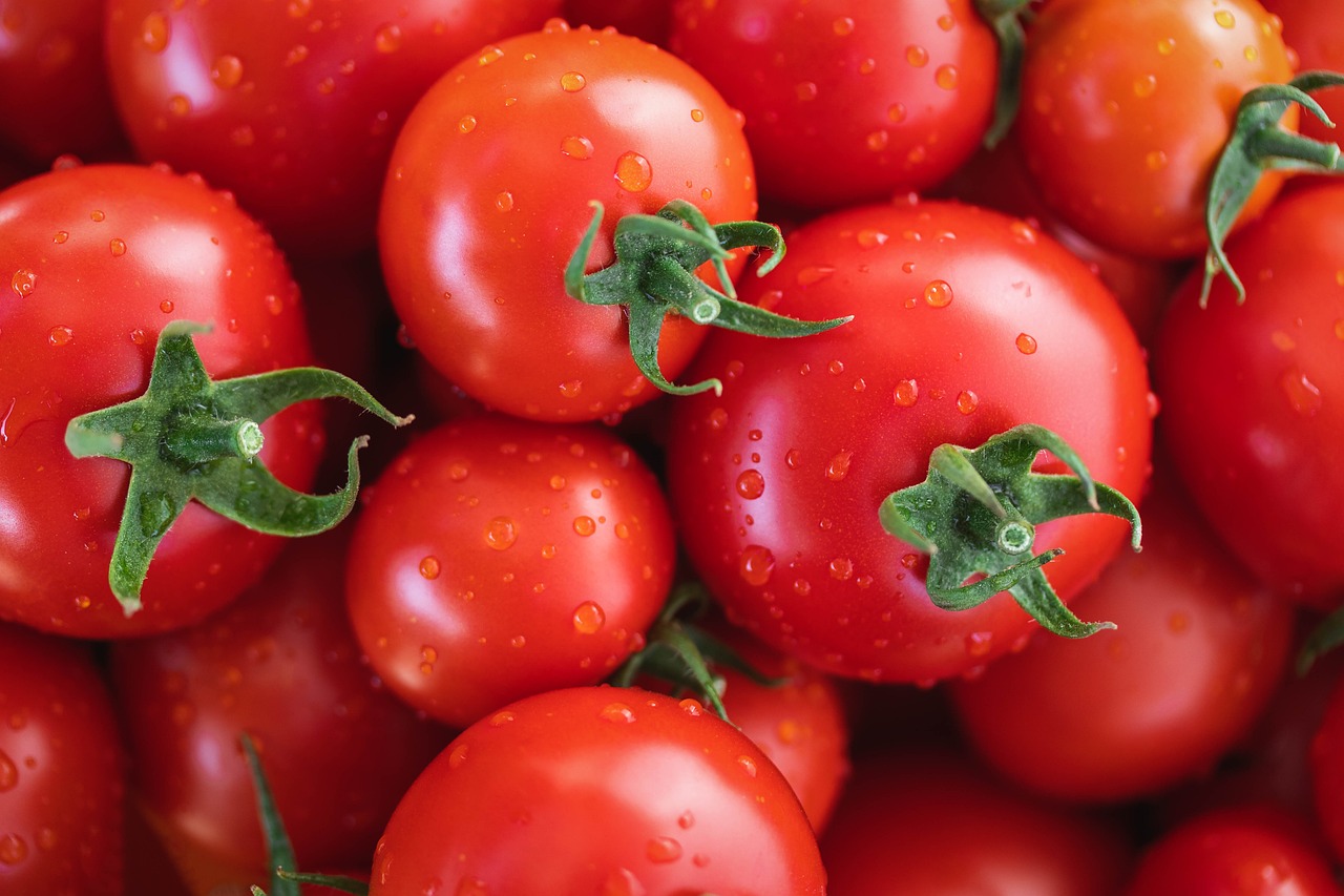 How to Grow Tomatos