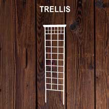 Trellis