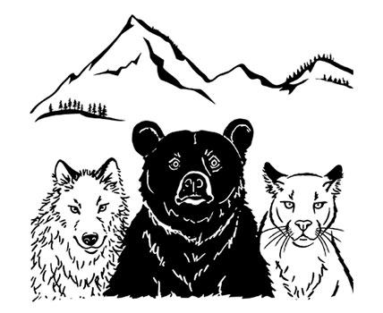 Trio- Wolf-Bear and Mountain Lion Design