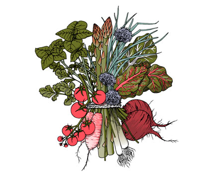 Veggies, Vegetable Design