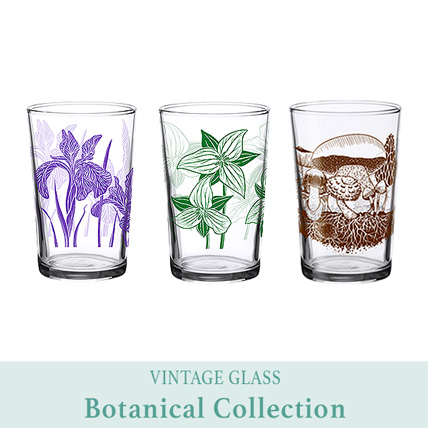 Vintage glass botanical designs set