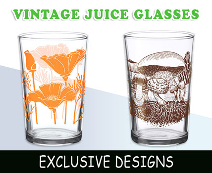 Vintage Glasses Tumblers Tall Beverageware