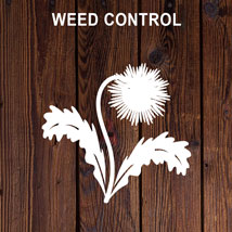 WEED CONTROL