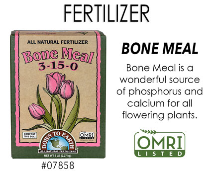 Wholesale Bone Meal