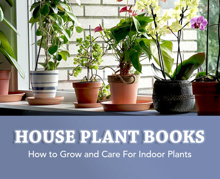 Books about How To Grow House Plants and Care For Them