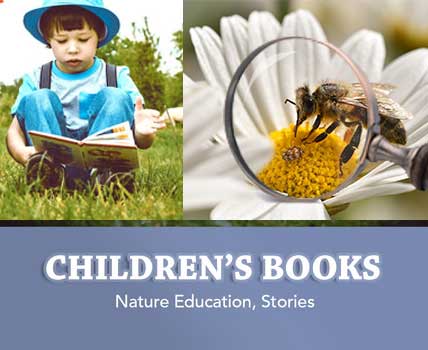 WHOLESALE CHILDREN'S BOOKS