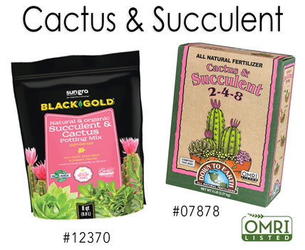 Cactus and Succulent Supplies -Wholesale