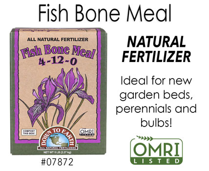 Fish Bone Meal Fertilizer