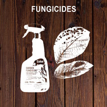 wholesale-fungicides-2023
