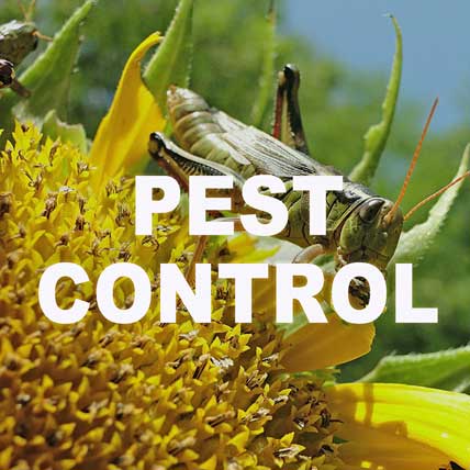 WHOLESALE PEST CONTROL & WEED CONTROL