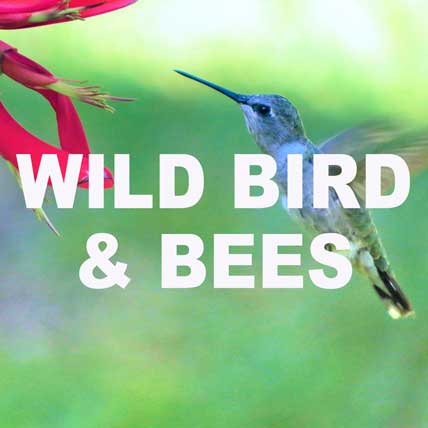 Wholesale Bird Supplies - Wildlife Supplies