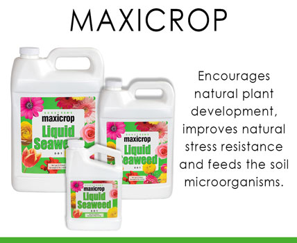 Maxicrop Fertilizer Wholesale