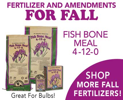 Gardening with Organic Fertilizer and Amendments for Fall