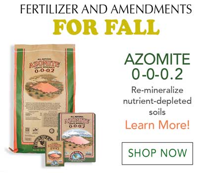 Fertilizers to use in the Fall- Azomite and Bio-Turf