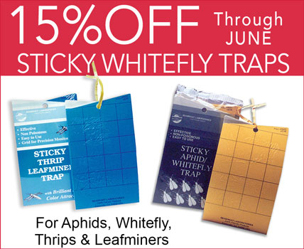 Sticky whitefly Traps, Trap Aphids, Thrips Leafminers