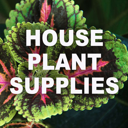 HOUSEPLANT SUPPLIES