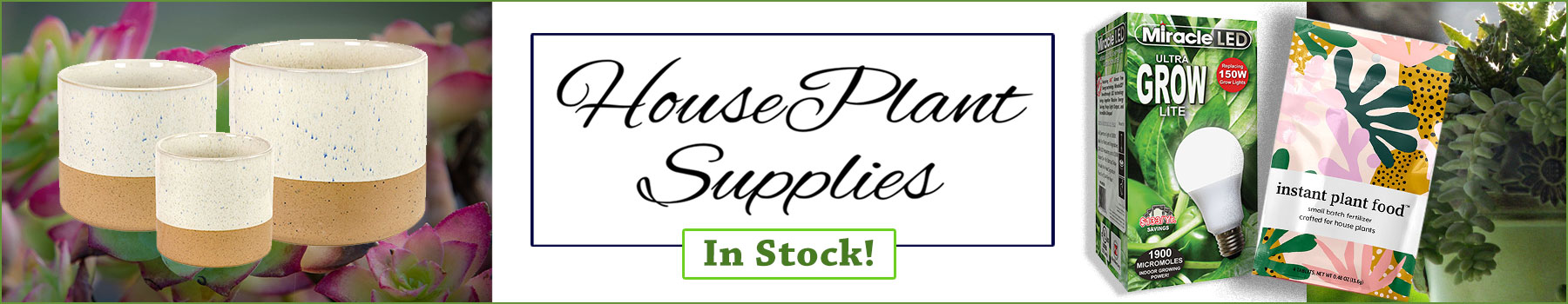 wholesale houseplant supplies in stock! plant pots, plant misters and more