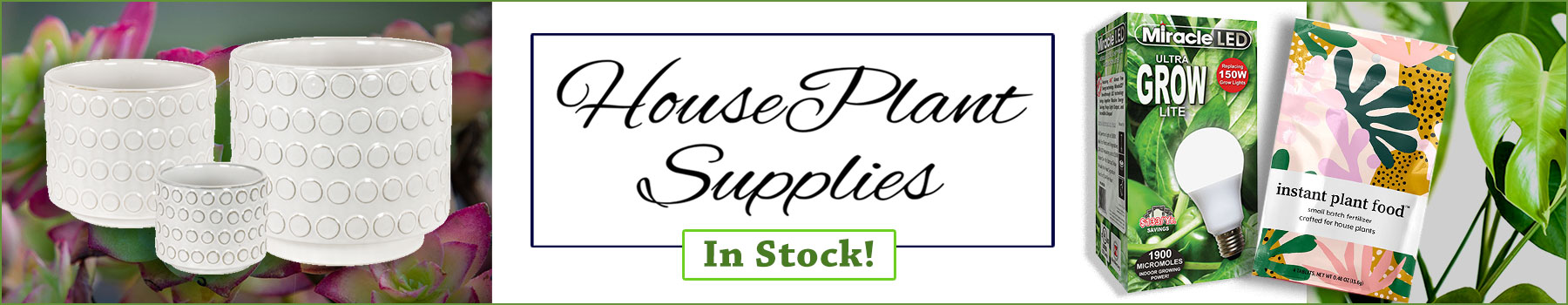 wholesale houseplant supplies in stock! plant pots, plant misters and more