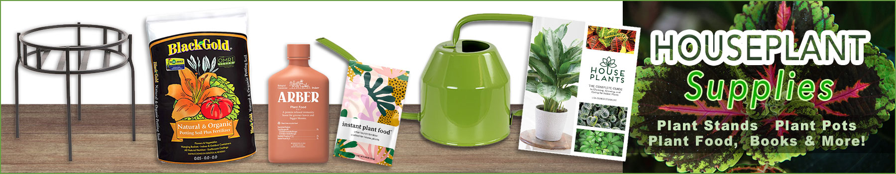 Houseplant Supplies -Shop Our New Collection of plant pots!