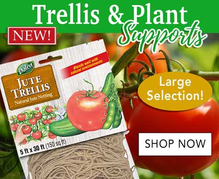 Trellis and Plant Support - Wholesale Garden Supplies 2024