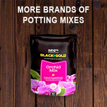 Natural Potting Mixes -Black Gold etc