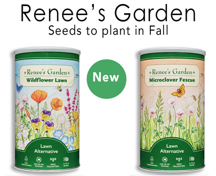 Renee's Seeds- Wholesale