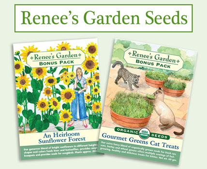 Wholesale Renee's Seeds 2023