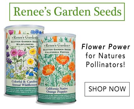 Renee's Scatter Seeds are great for pollinators! 