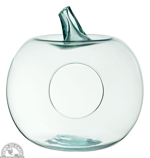 Apple Terrarium Med. 10" Tall Down to Earth Distributors, Inc.