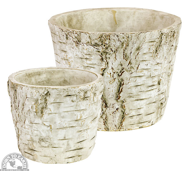 Cement Birch Bark Pot S/2