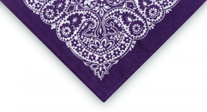 Bandana Cowboy Blue