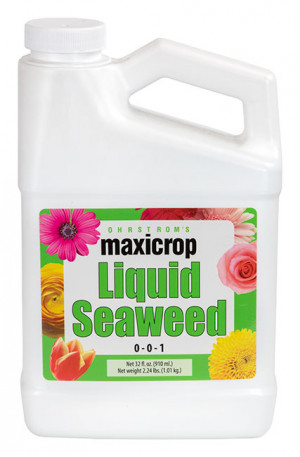 Maxicrop Liquid Seaweed  1qt