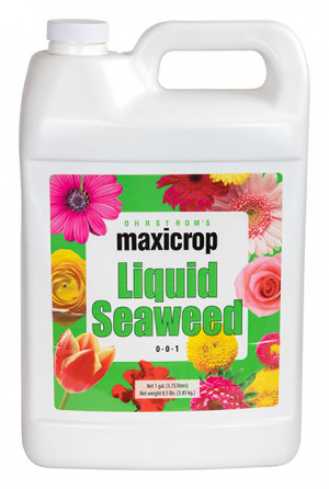 Maxicrop Liquid Seaweed  1gal