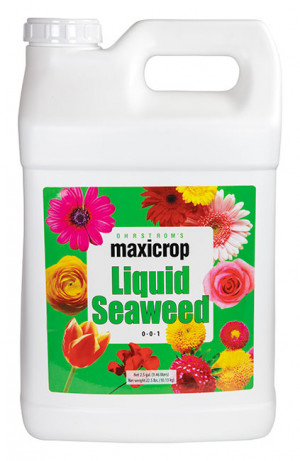 Maxicrop Liquid Seaweed 2.5gal