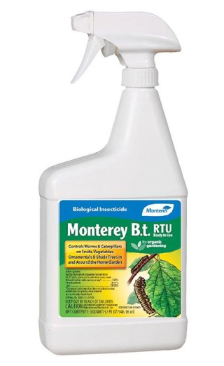 Monterey Bt 32oz Rtu