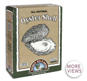 Oyster Shell  5lb -font