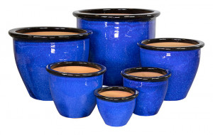 Stoneware Bn Rim/ Blue S/6