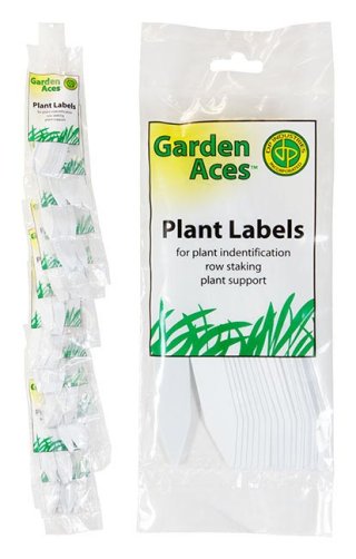 Plastic Plant Labels 6"  Pk/24