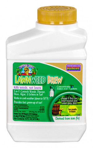 Cj Lawnweed Brew 16oz Conc