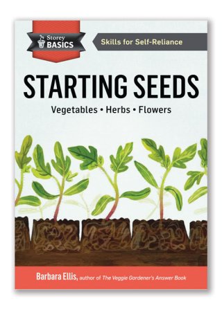 Starting Seeds