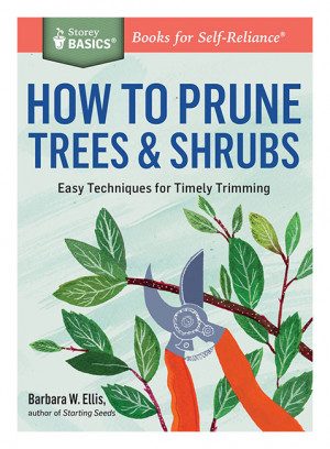 How To Prune Trees & Shrubs