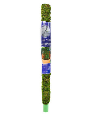 Moss Pole 24" - wholesale houseplant supplies