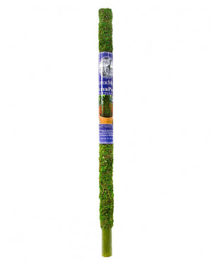  Moss Pole 30"