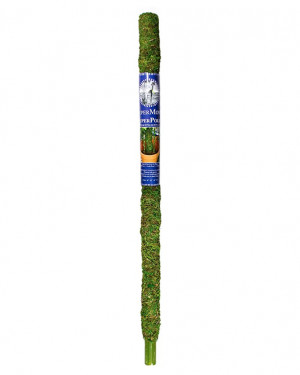 Moss Pole 36"